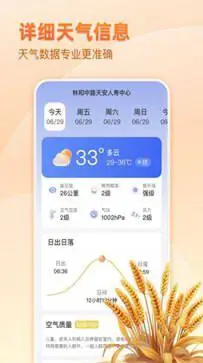 麦穗天气预报图3