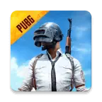 绝地求生国际服pubg