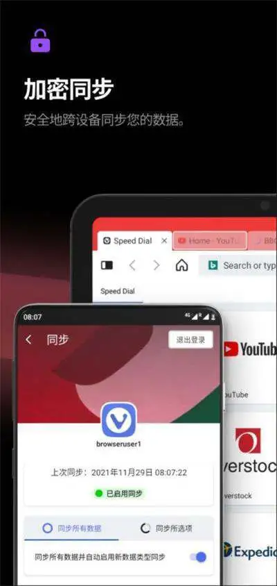 vivaldi浏览器图4
