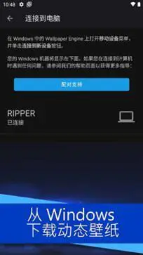 WALLPAPER官方版图2