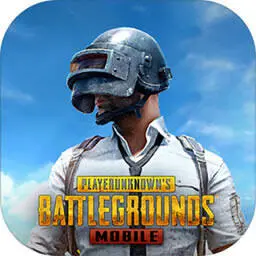 地铁逃生国际服pubg2.9
