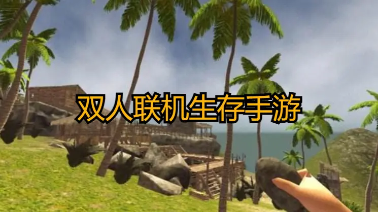 双人联机生存手游