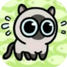冒险猫