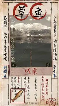天天钓鱼图3