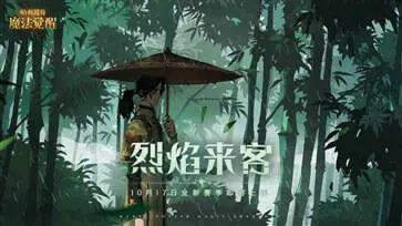 哈利波特(狼影迷踪)赛季图5