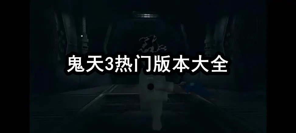 鬼天3热门版本大全