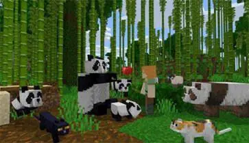minecraft国际版基岩版图5