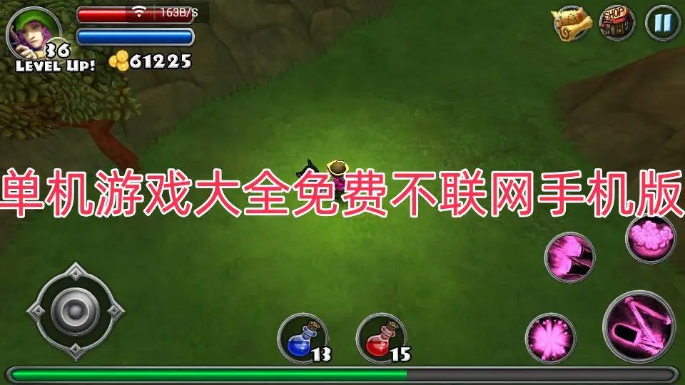 单机游戏大全免费不联网手机版