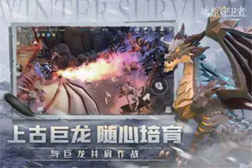 凛冬冰原守卫者游戏图2
