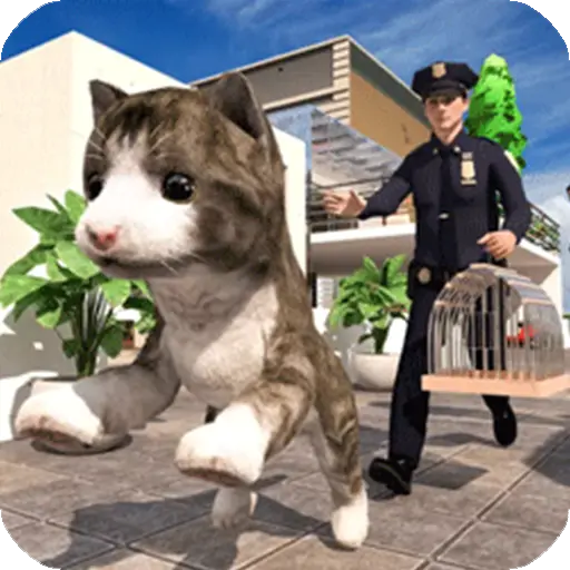 极速流浪猫小游戏