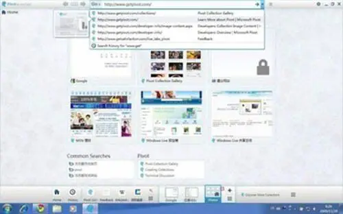 pivot浏览器图3