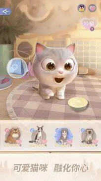 时光公主图1