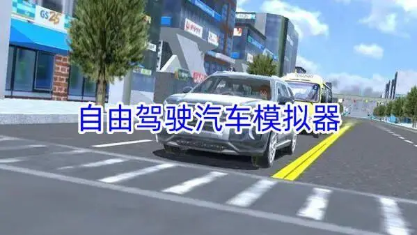 自由驾驶汽车模拟器