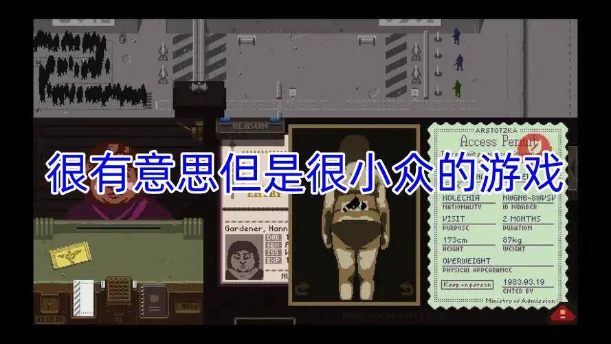 很有意思但是很小众的游戏