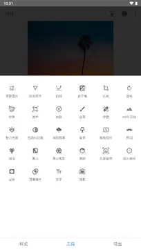 SNAPSEED软件图5