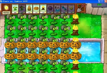 植物大战僵尸2010经典版图3