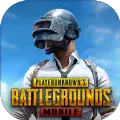 pubg国际服亚服手游