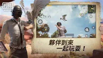 PUBG国际服体验服官网版图4