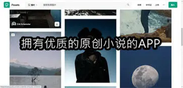 拥有优质的原创小说的APP