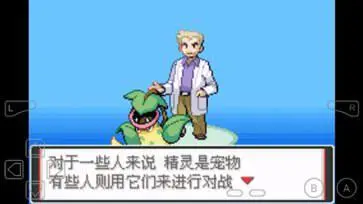 口袋妖怪火红图2