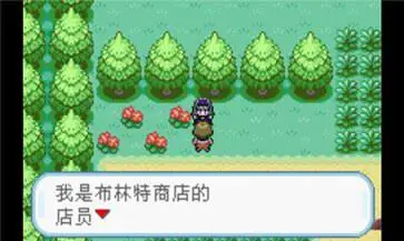 口袋妖怪火红图3