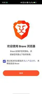 brave浏览器中文版图2