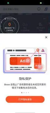 brave浏览器中文版图3