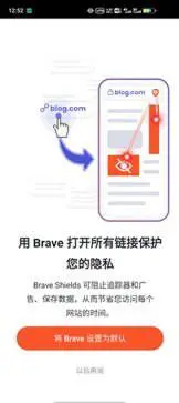 brave浏览器中文版图4