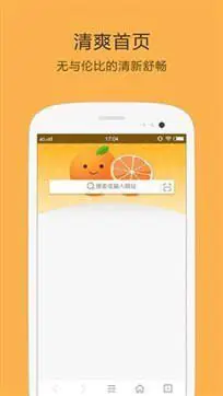 桔子浏览器(轻量化手机浏览器)图2
