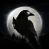 夜鸦手游官网版
