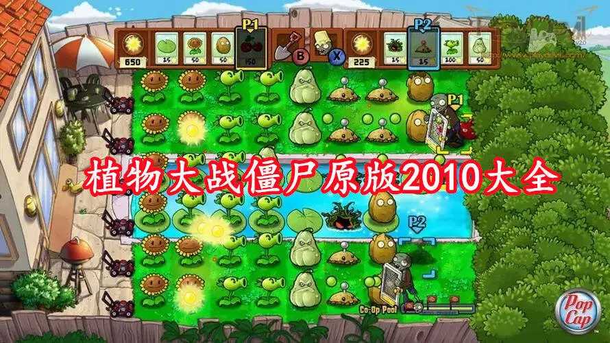 植物大战僵尸原版2010大全