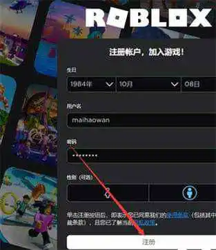 罗布乐思国际服2024最新版本