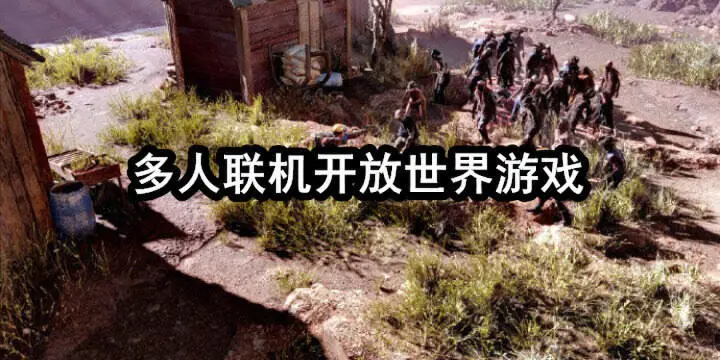 多人联机开放世界游戏