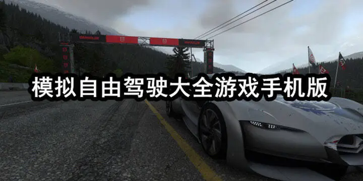 模拟自由驾驶大全游戏手机版