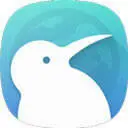 kiwi浏览器官网版