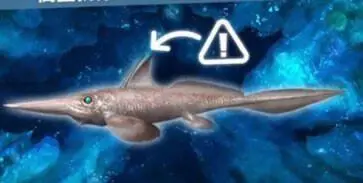 水族馆竞技场游戏图1