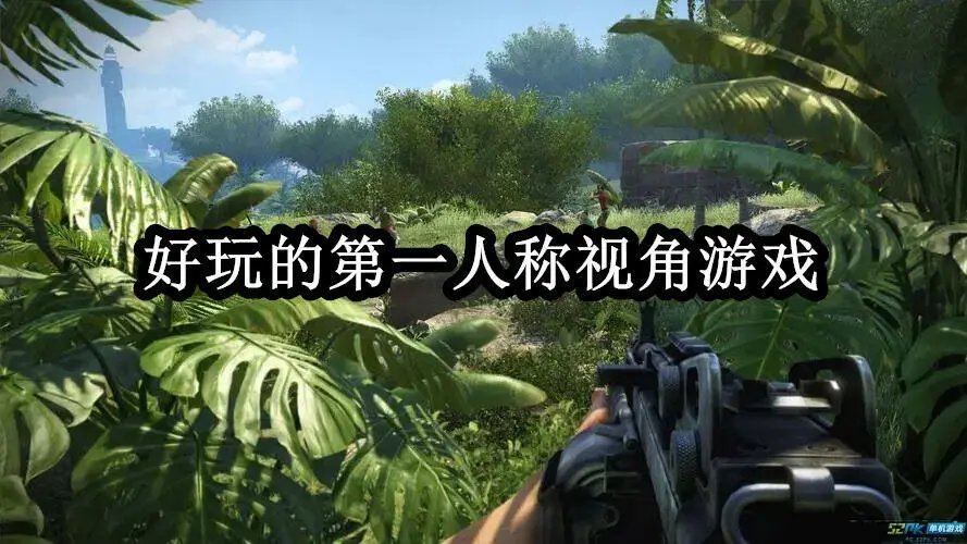好玩的第一人称视角游戏