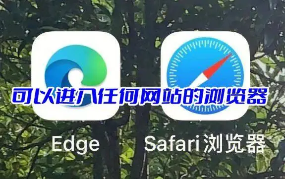 可以进入任何网站的浏览器