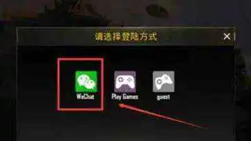 pubg印度服