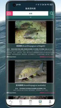 潮汐表精灵app图1