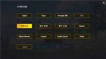 pubgmobile国际服