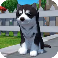Zoom与动物Zoom最新版本