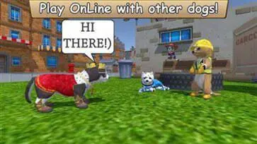 Zoom与动物Zoom最新版本图2