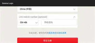 王者荣耀越南服