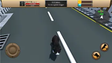 Zoom与动物Zoom最新版本图1