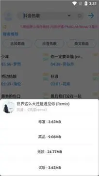 歌词适配APP最新版图3