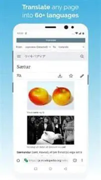 kiwi浏览器中文版图1