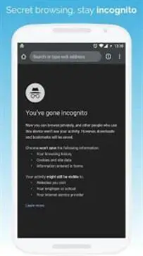 kiwi浏览器中文版图3