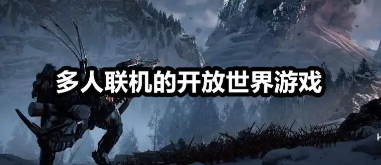 多人联机的开放世界游戏