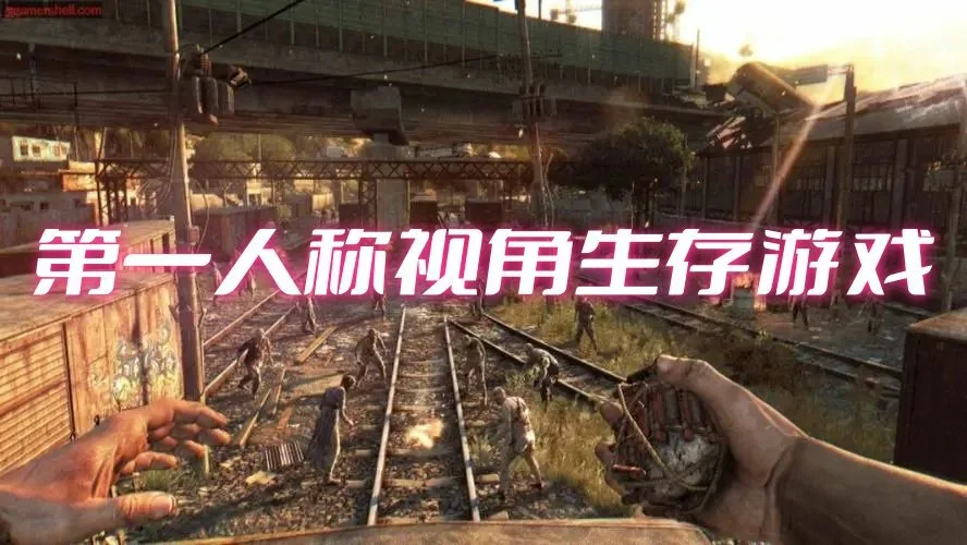 第一人称视角生存游戏